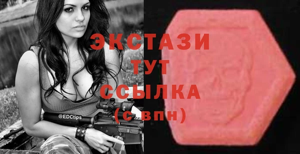 амф Верхний Тагил