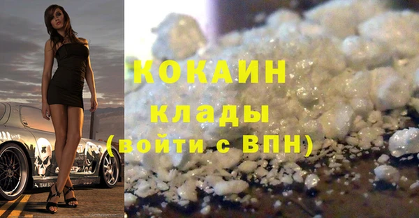 амф Верхний Тагил