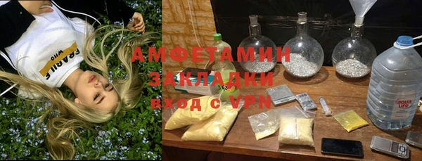амф Верхний Тагил