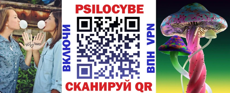 Купить закладки  Магас  Псилоцибиновые грибы Psilocybe 