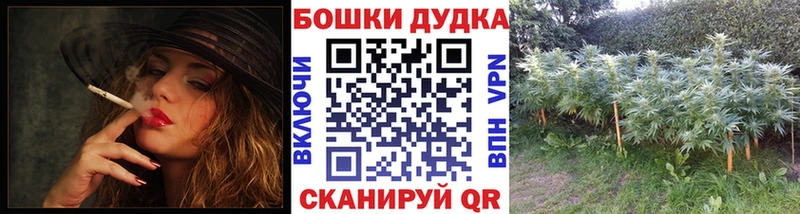 Купить закладки  Магас  Бошки марихуана индика 